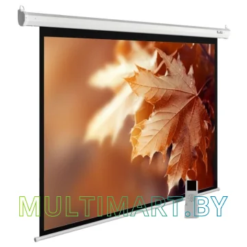 Проекционный экран CACTUS MotoExpert 300x188 (CS-PSME-300x188-WT)